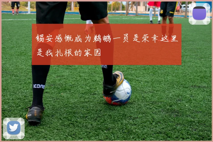 锡安感慨成为鹈鹕一员是荣幸这里是我扎根的家园
