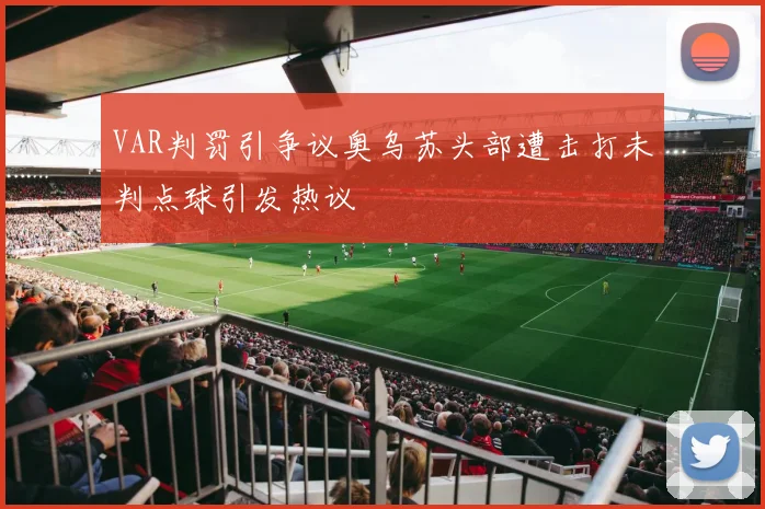 VAR判罚引争议奥乌苏头部遭击打未判点球引发热议
