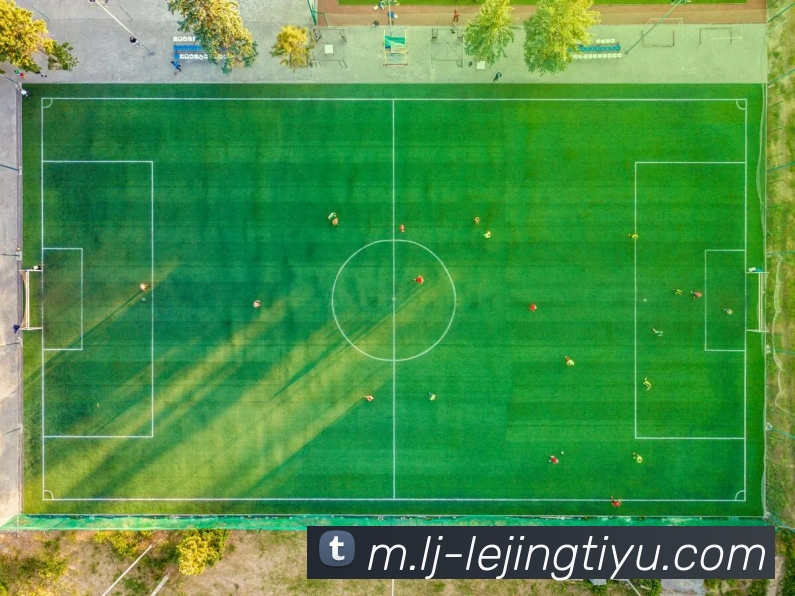 乐竞体育平台生态图